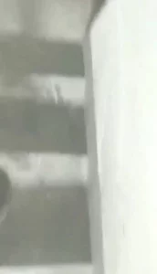 丹夫人系列之在家发骚被邻居操了