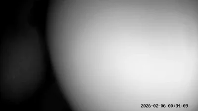 特写和91年离异少妇