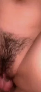 236号麋鹿